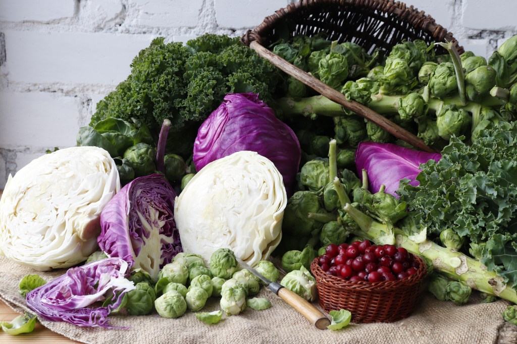 Cruciferous vegetables for Rhomboid Muscle Pain
