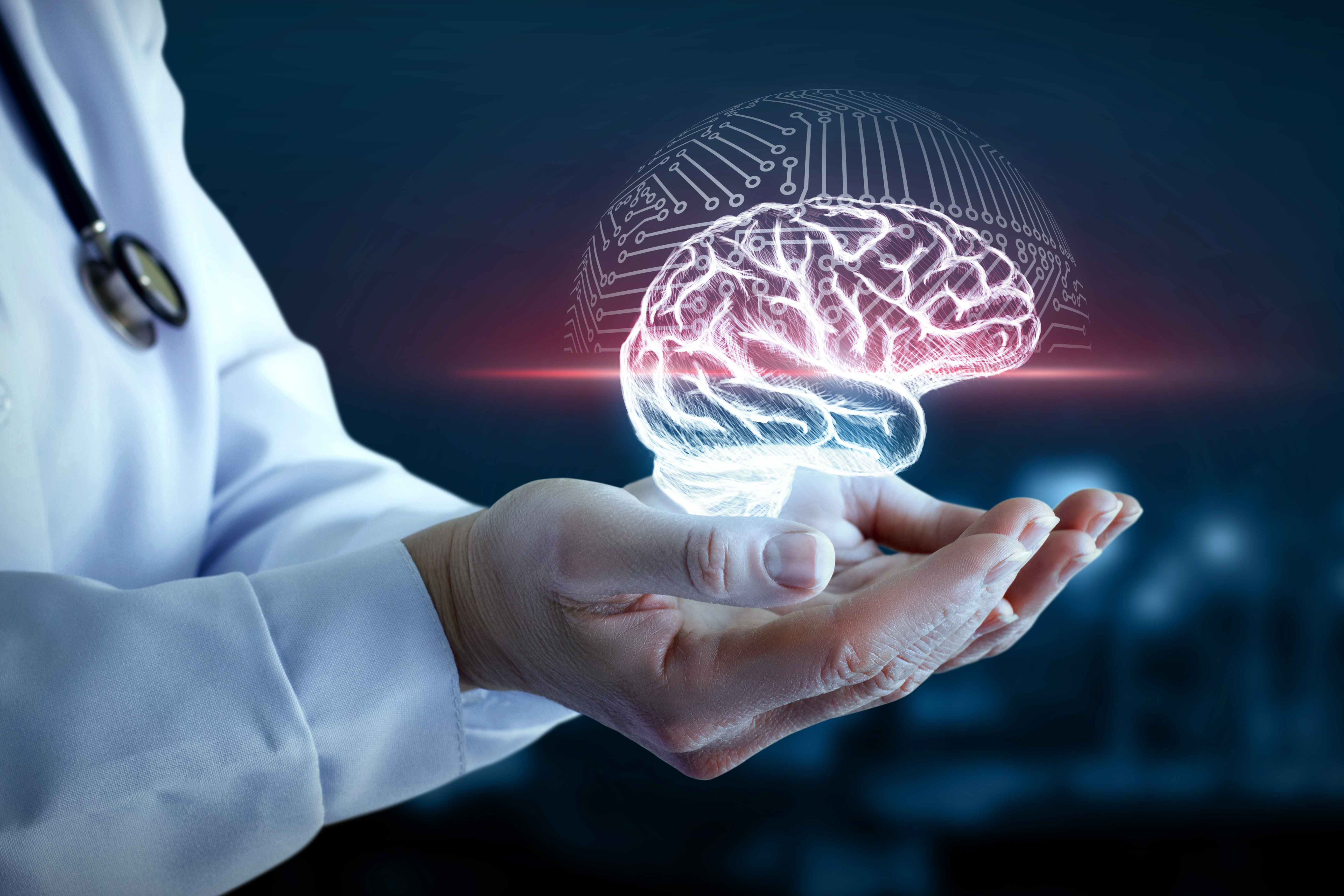 Doctor holding a brain   