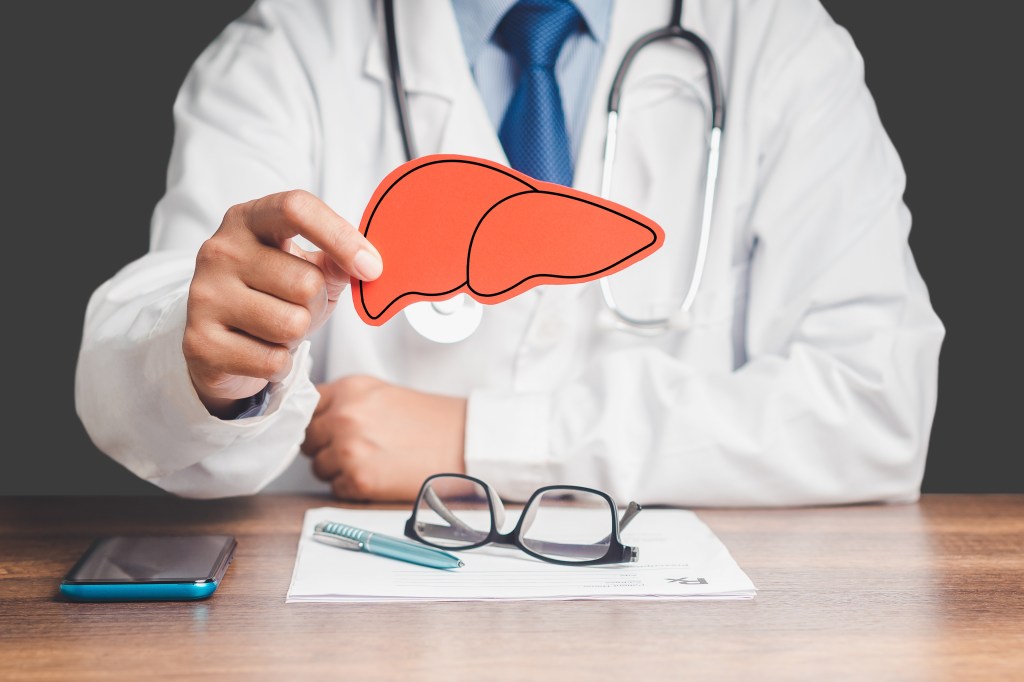 Doctor holding a cut out of a liver