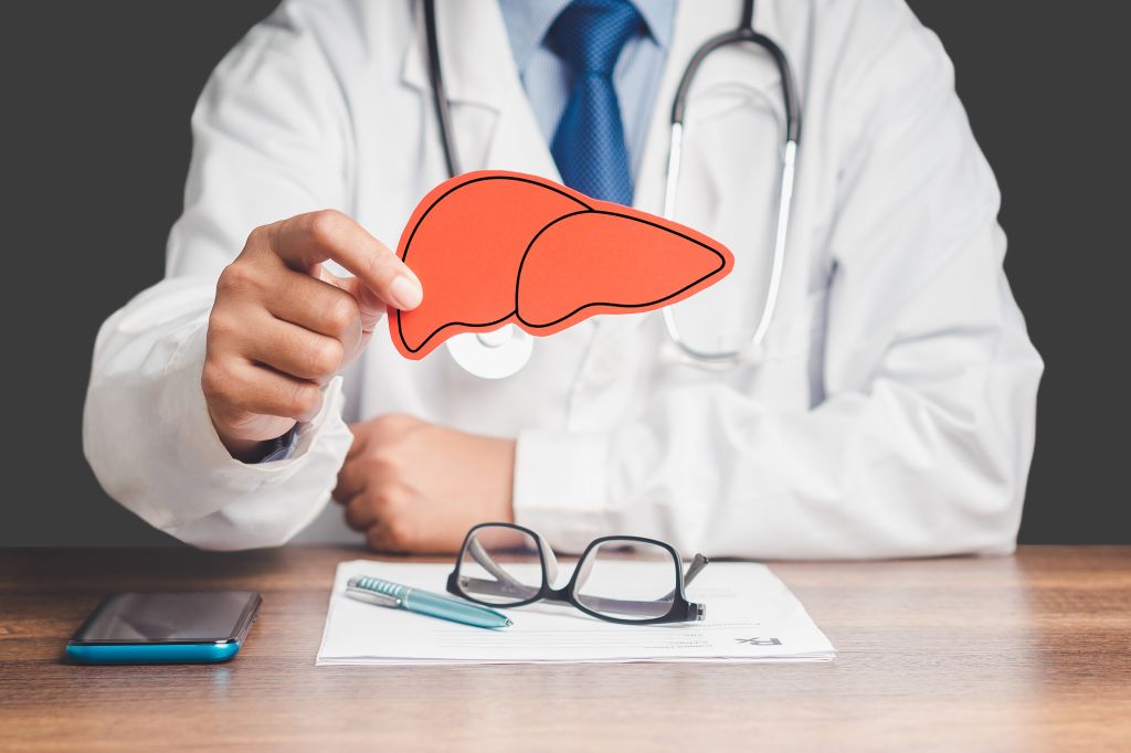 Doctor holding a cut out of a liver