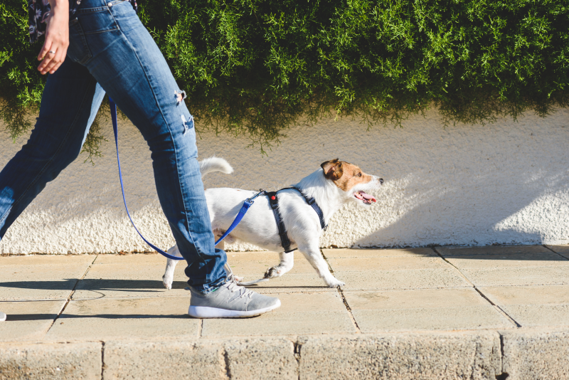 Low intensity exercise