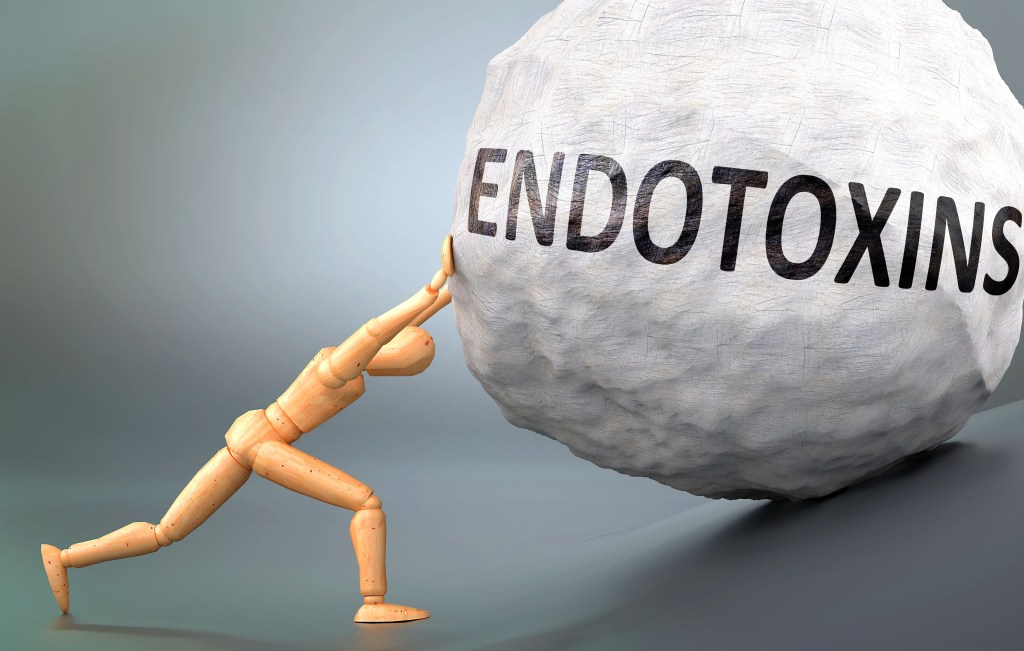 Endotoxin illustration