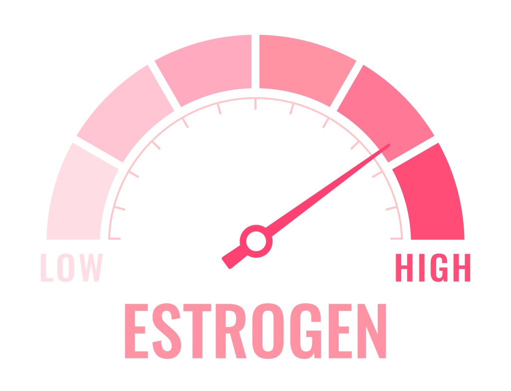 High estrogen levels