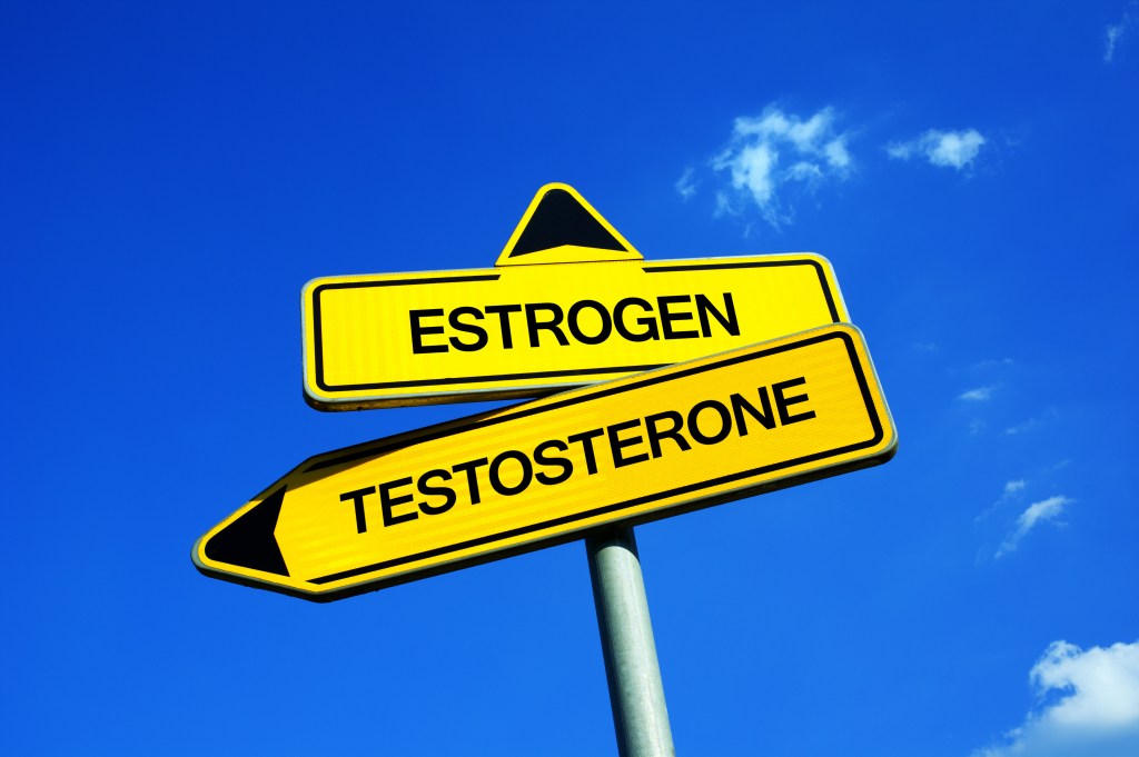 Estrogen and testosterone signs 