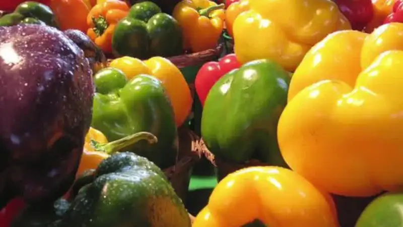 Colorful fresh bell peppers
