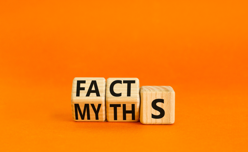 Facts and myths wooden blocks
