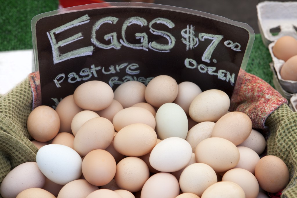 Pasture-raised eggs