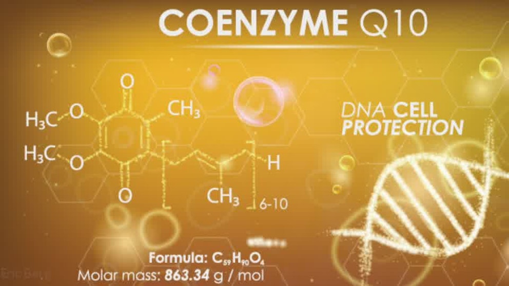 What Is CoQ10?