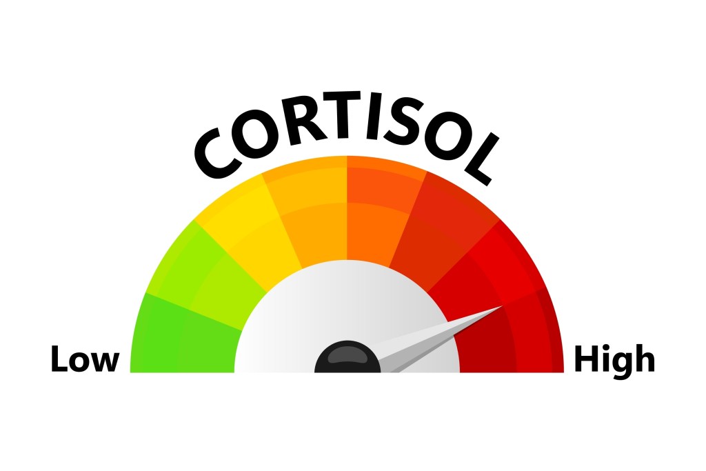 Cortisol chart illustration 