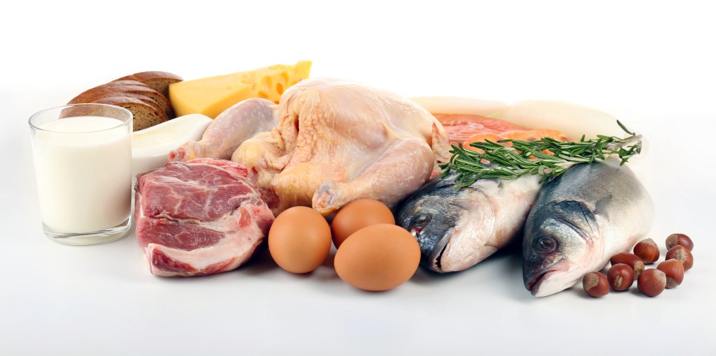 High-protein foods 