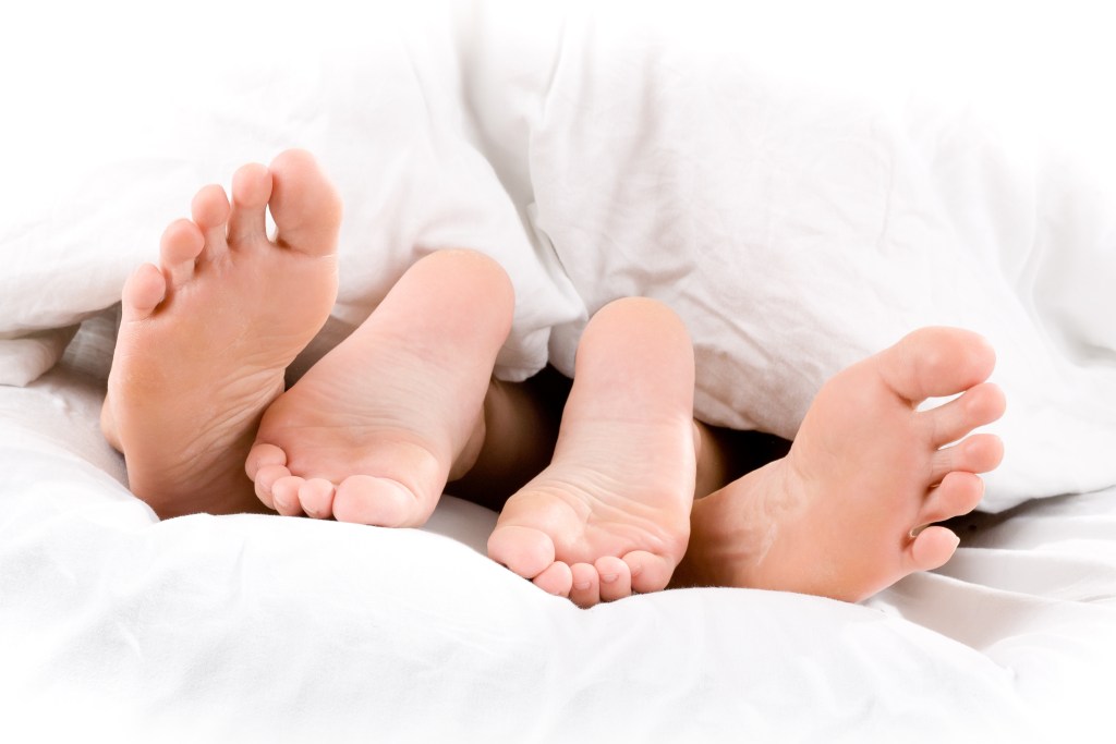 Four feet under a blanket
