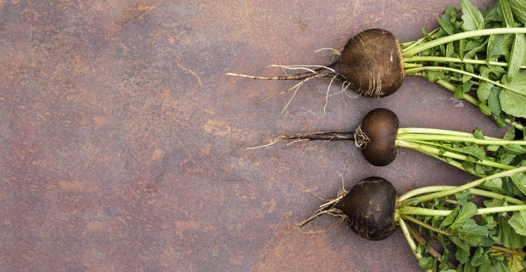 Black radish