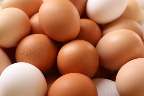 Why You Should Eat 4 Eggs a Day