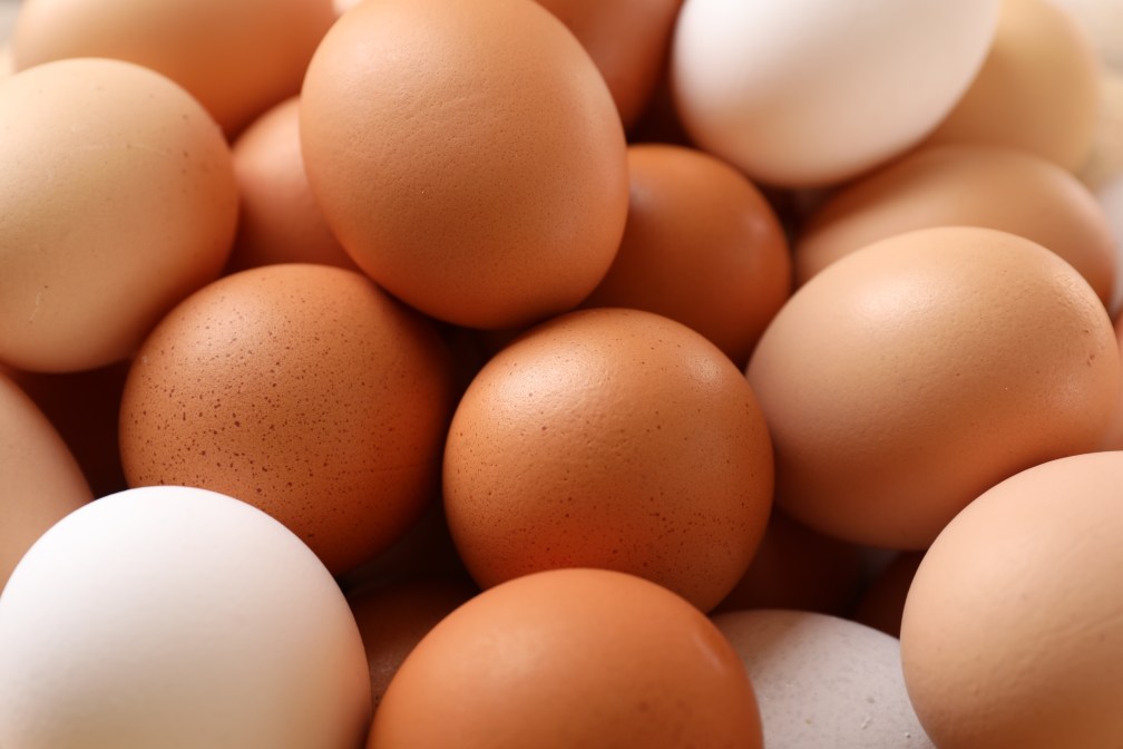 Why You Should Eat 4 Eggs a Day