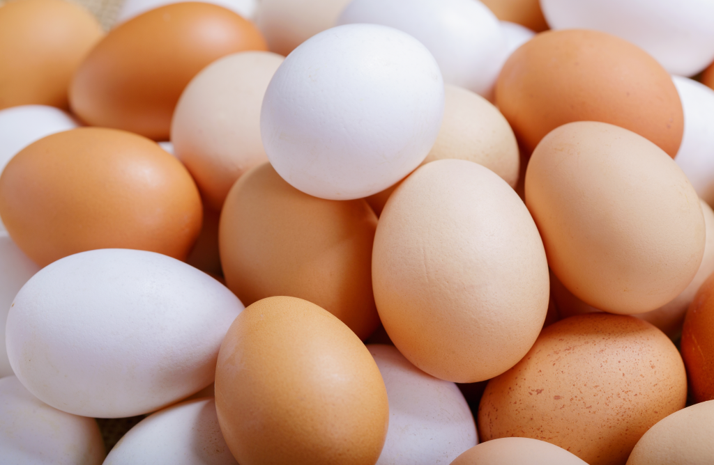 Fresh eggs
