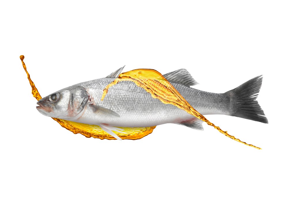Fish with oil splash