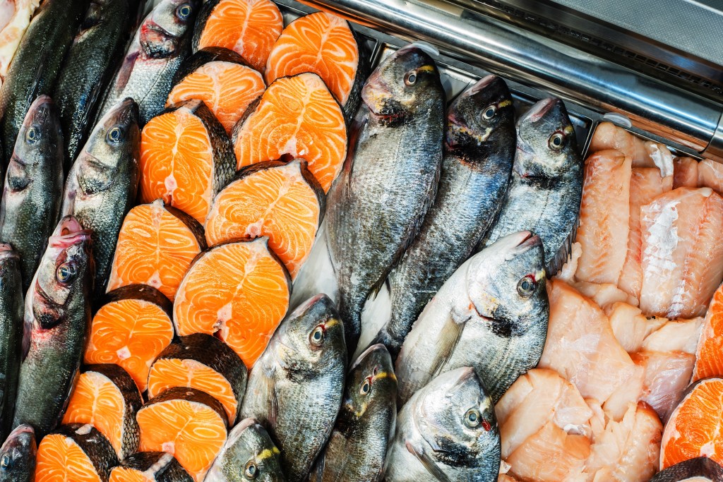 Fish counter