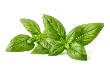 5 Amazing Basil Benefits
