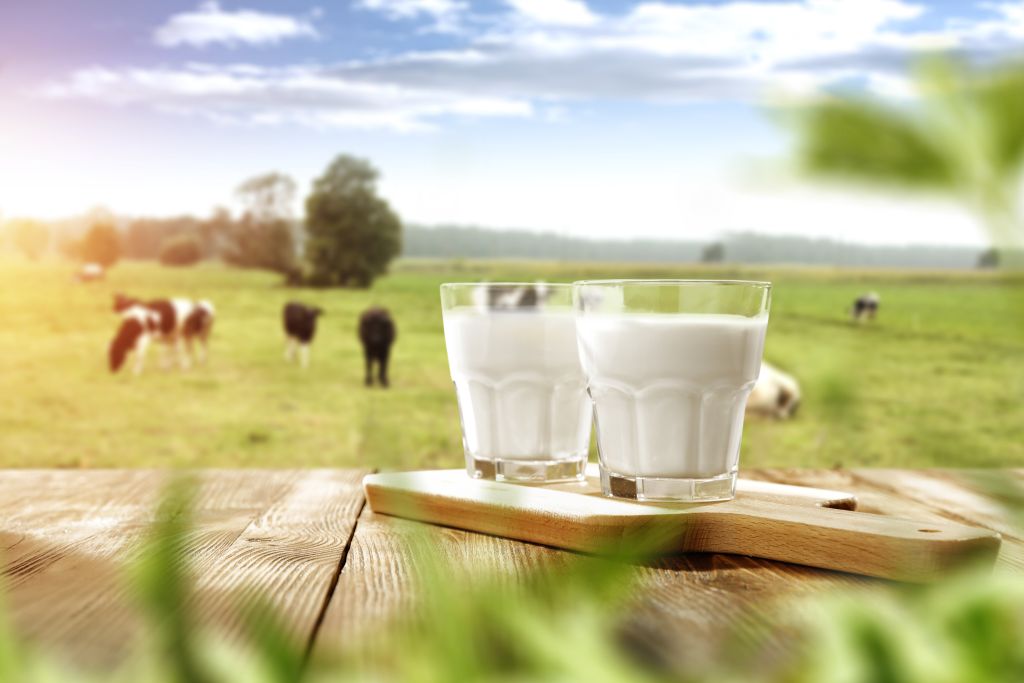 Two glasses of milk