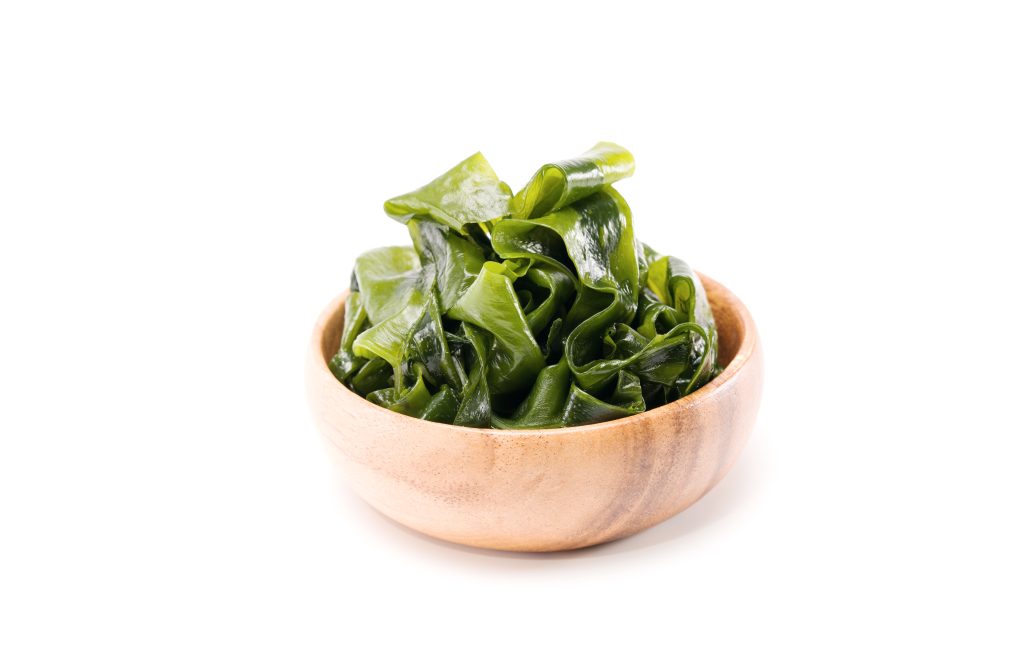 Sea kelp