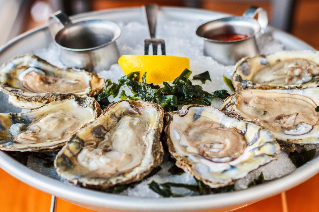 Fresh oysters on a platter