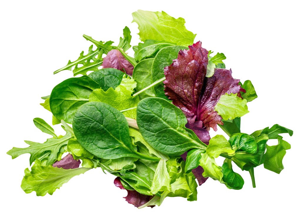 Lettuce 