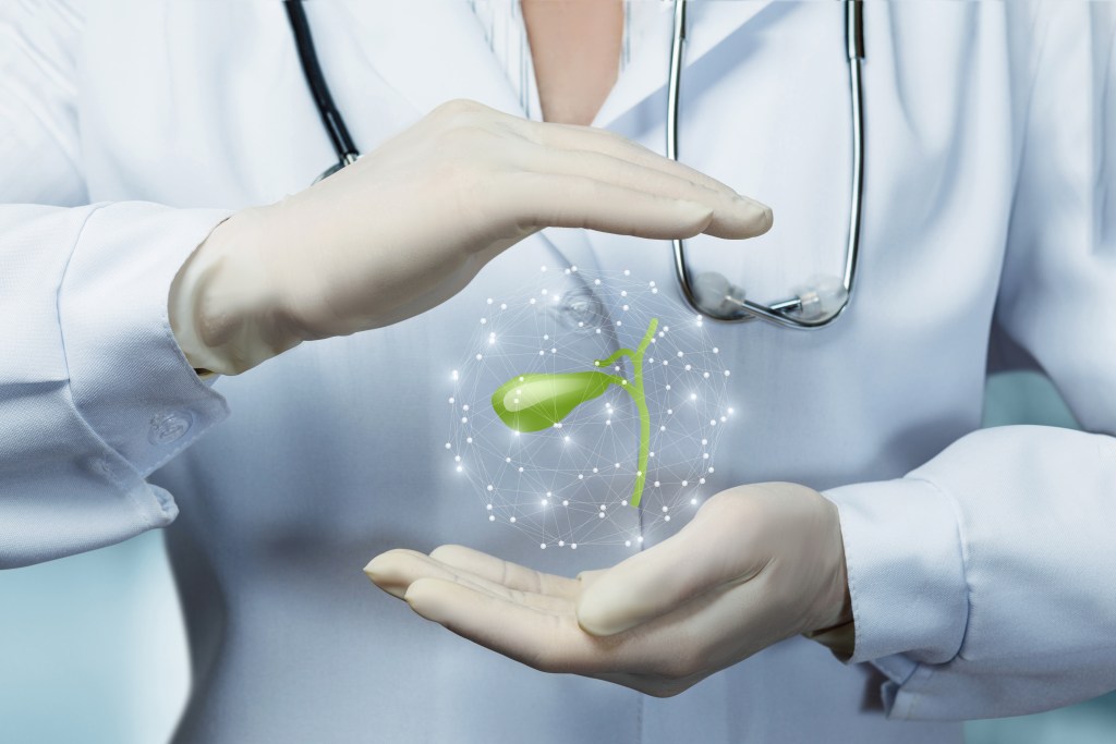 Gallbladder concept 