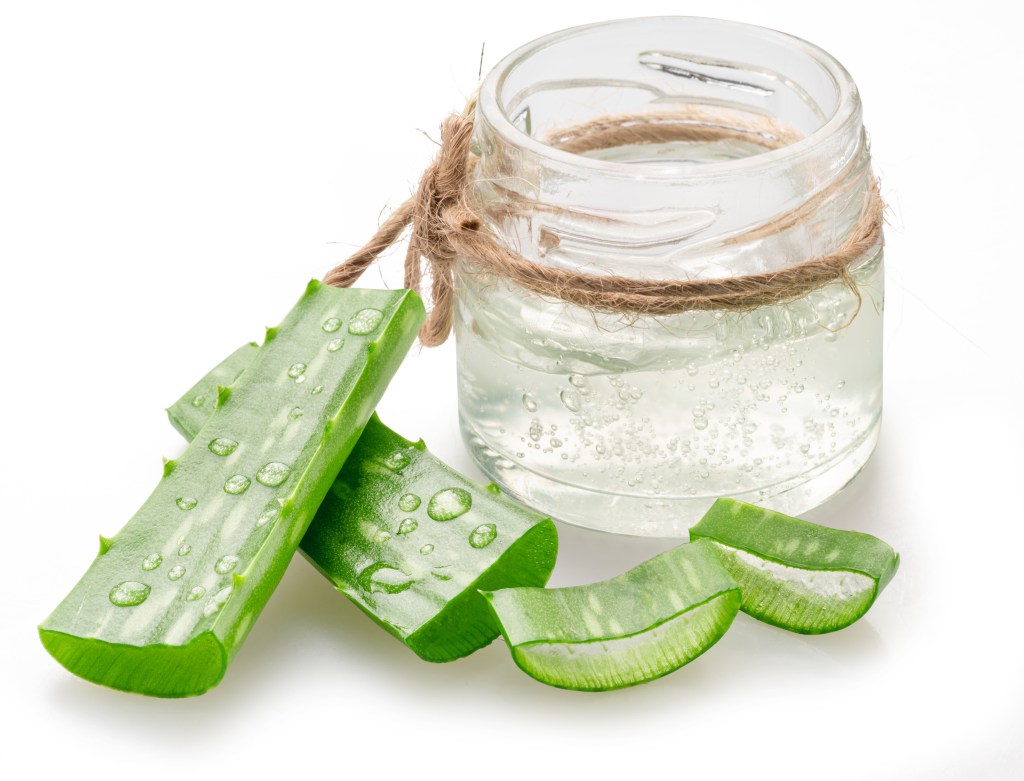 Aloe vera glass jar