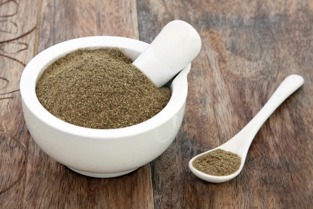 Gymnema sylvestre ground powder