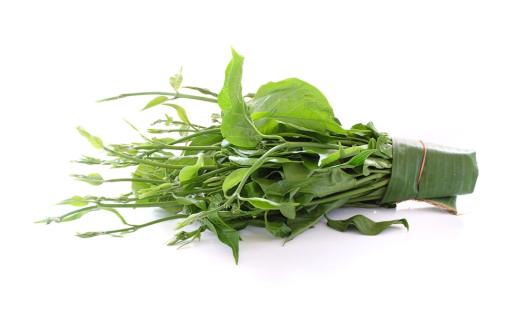 Gymnema: Benefits, Uses, and Risks