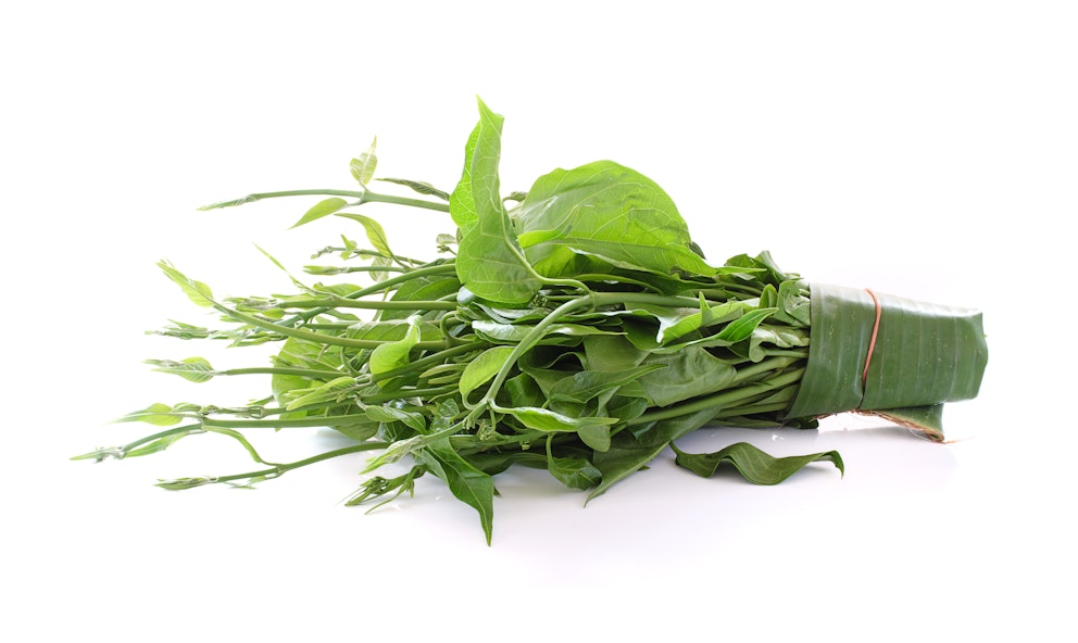 Gymnema: Benefits, Uses, and Risks