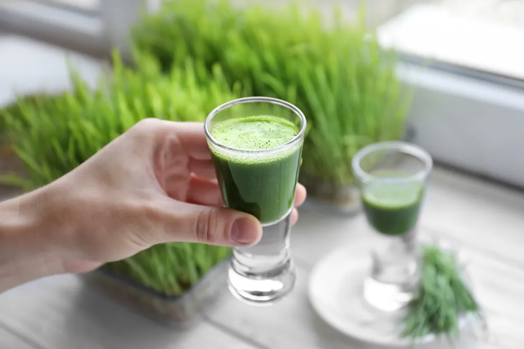 Holding a fresh wheatgrass shot