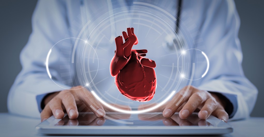 Human heart illustration