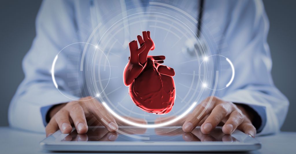 Human heart illustration