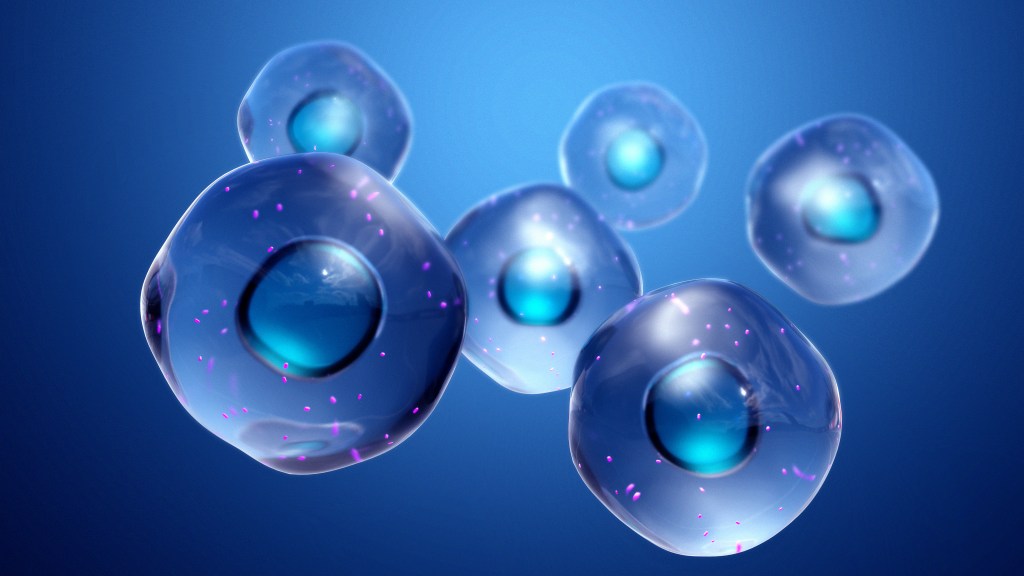 Human mitochondria&nbsp;&nbsp;