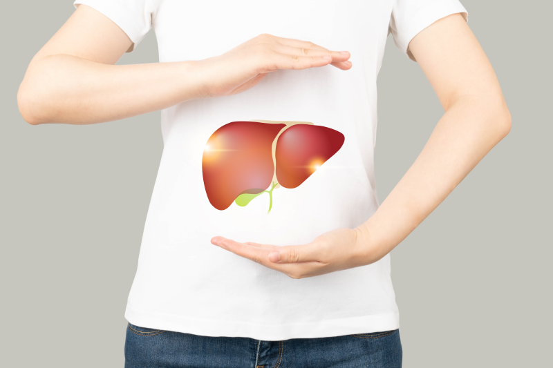 Liver and gallbladder