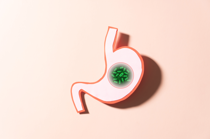 H pylori microbes in the stomach