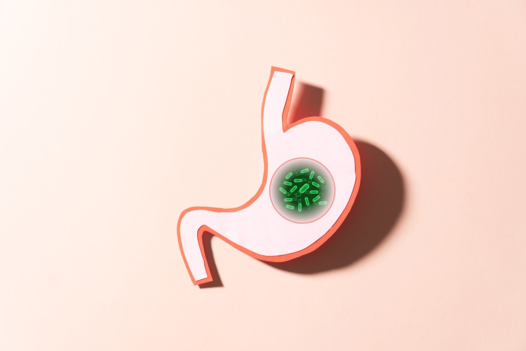 H pylori microbes in the stomach
