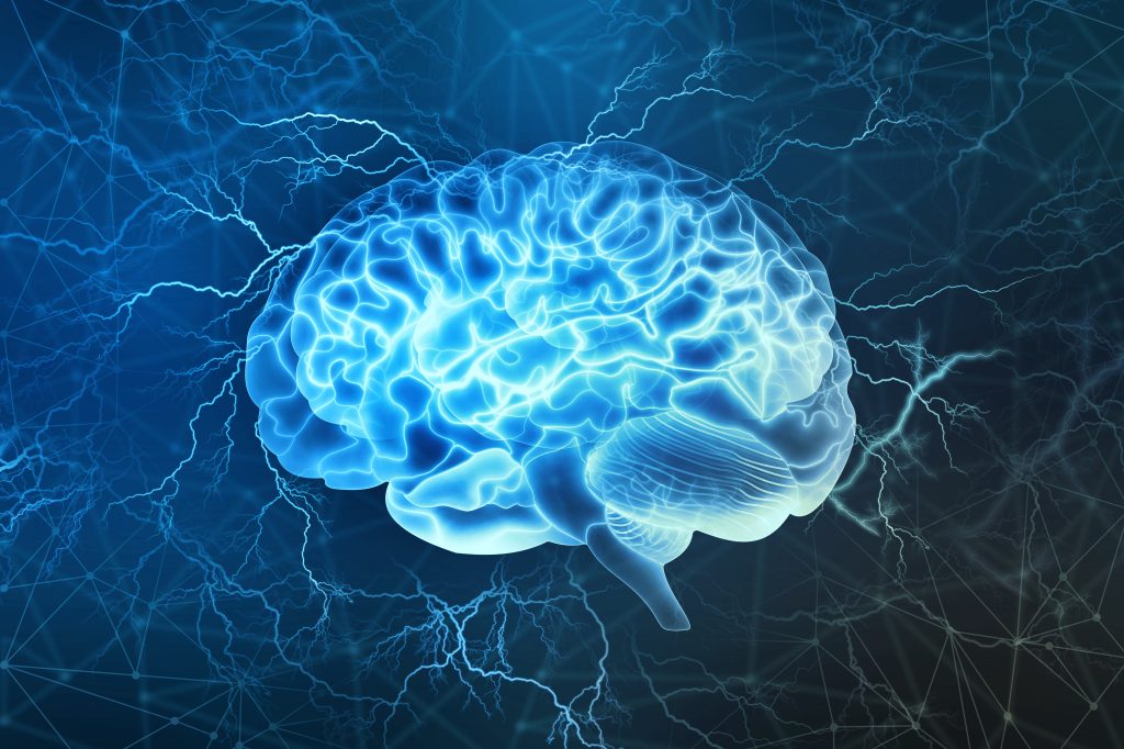 Living human brain electrical activity