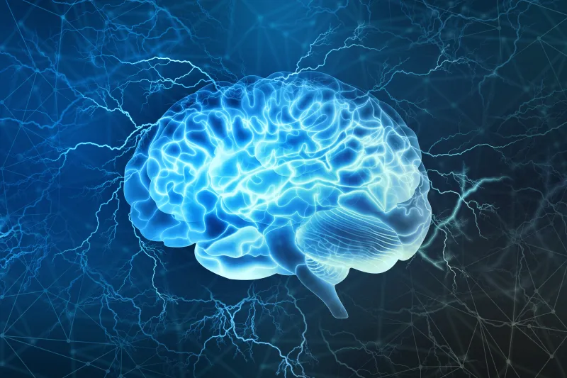 Human brain illustration