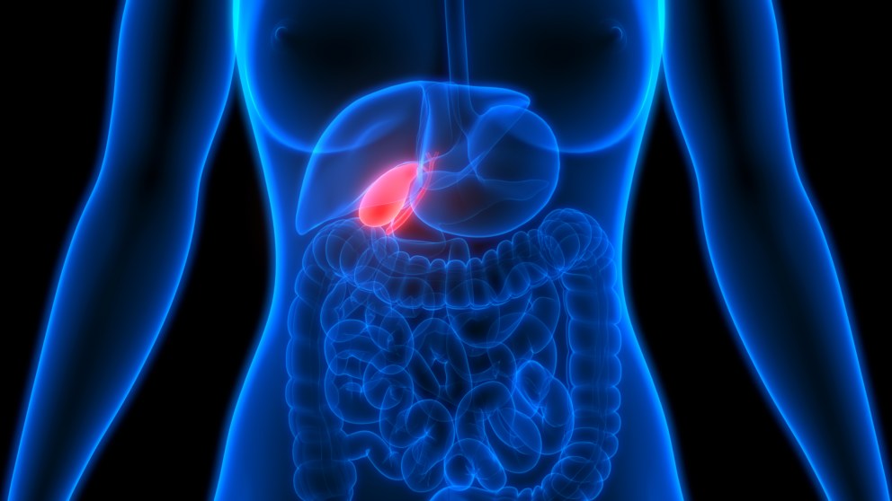 The Connection Between Vitamin D and Gallbladder Health