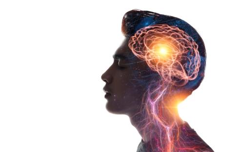 Brain Detox: Increase Your Memory and Focus