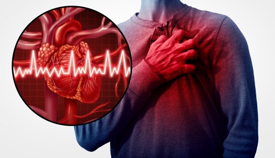 What Is the Best Diet for Heart Disease?