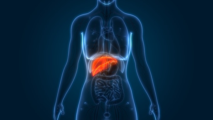 The Liver Body Type