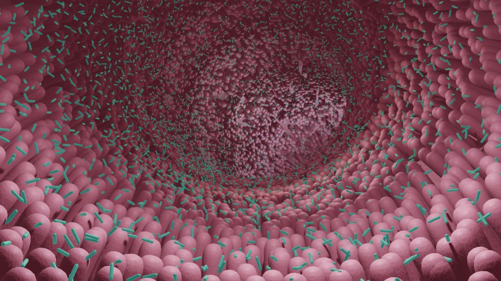 Gut microbiome illustration