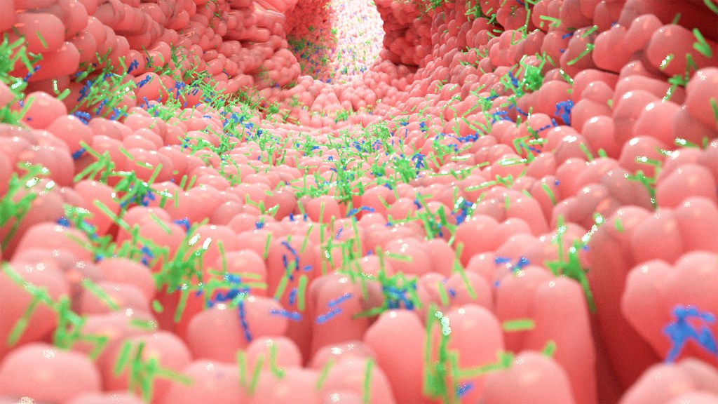 Gut microbiome illustration