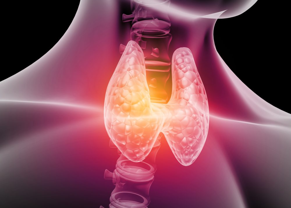 glutathione for hyperthyroidism can cause Hypothyroidism vs Hyperthyroidism: Understanding Symptoms Plant-derived nutritional components in thyroid – SiPhox Health: At-Home Blood Testing