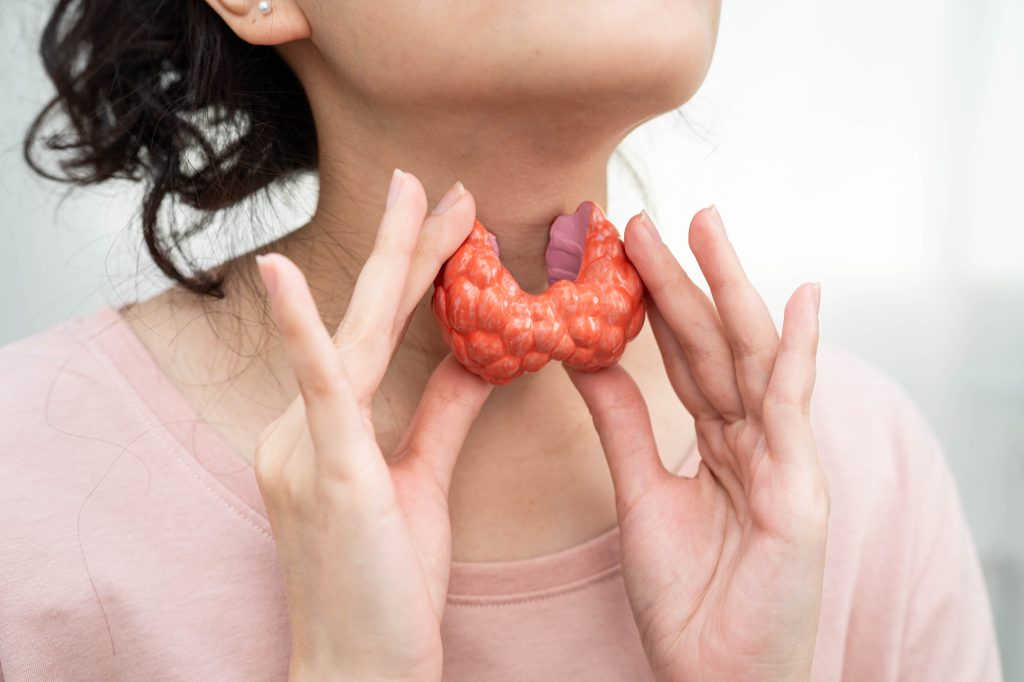 Thyroid gland illustration   
