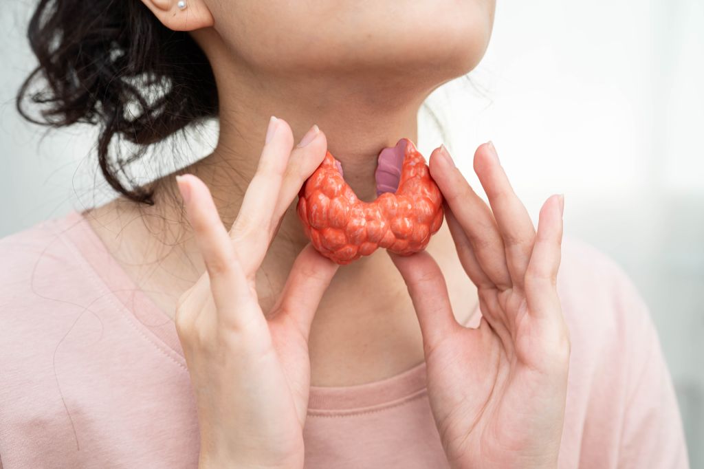 Thyroid gland illustration