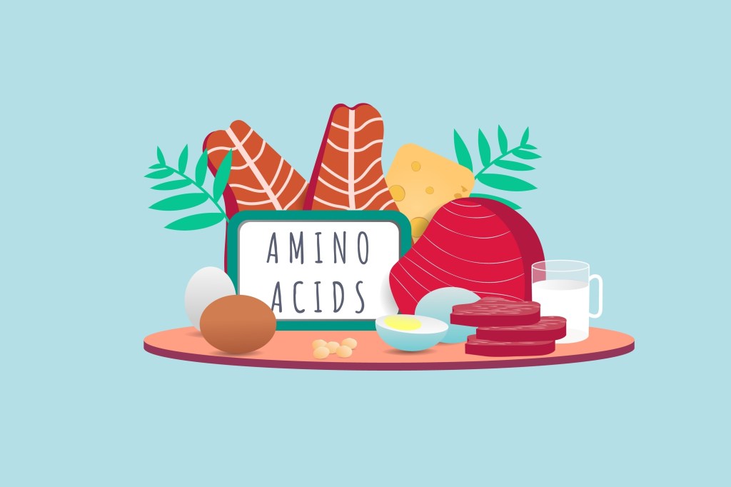 Amino acid illustration